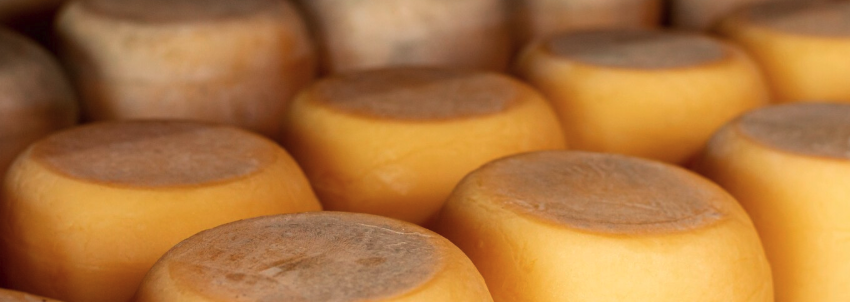 Como Harmonizar Queijo Minas e Canastra com Vinhos?
