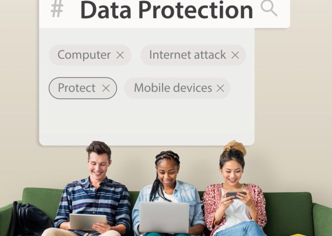 O papel do DPO (encarregado) nas empresas brasileiras, por Adonis Martins Alegre