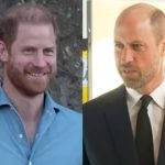 William estaria incomodado com declarações de Harry sobre a família